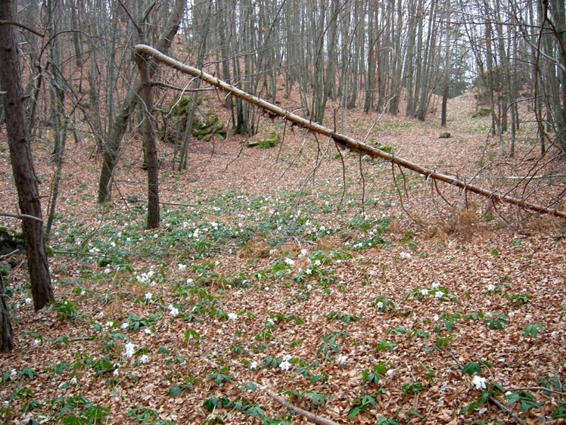 ...il monte  dedicato a Cesare Battisti...