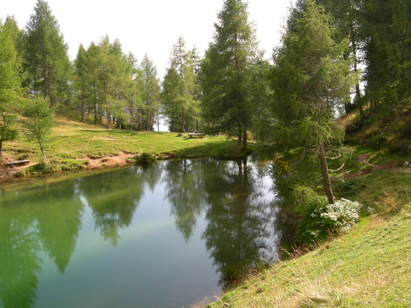 Laghi.......del TRENTINO