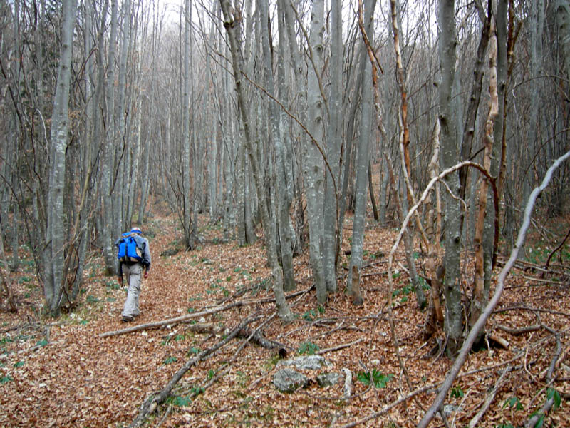 ...il monte  dedicato a Cesare Battisti...