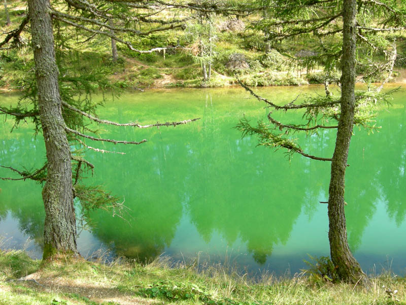 Laghi.......del TRENTINO