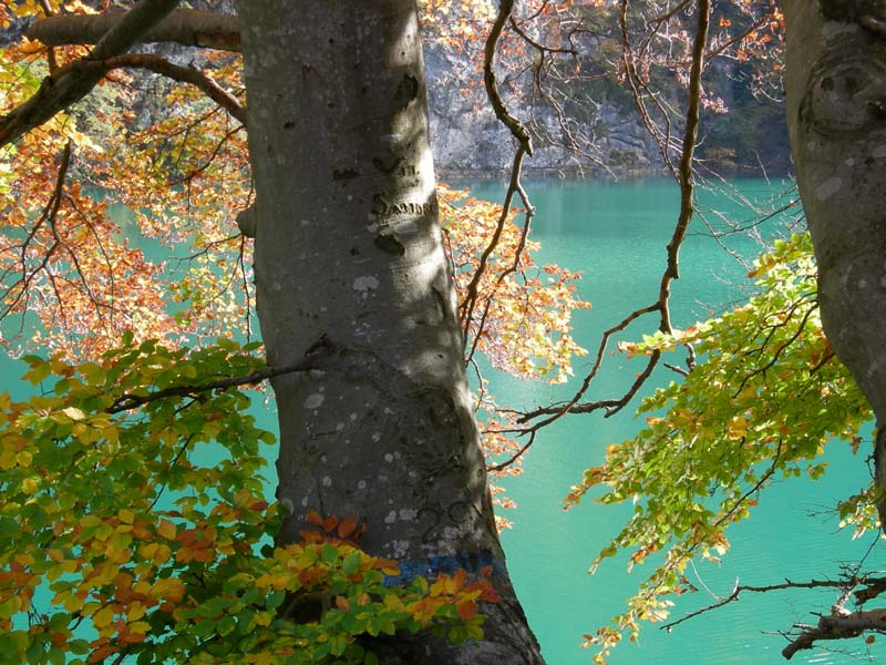 Laghi.......del TRENTINO