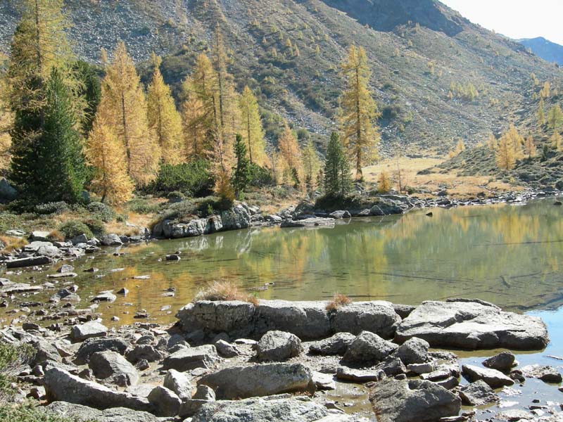 Laghi.......del TRENTINO