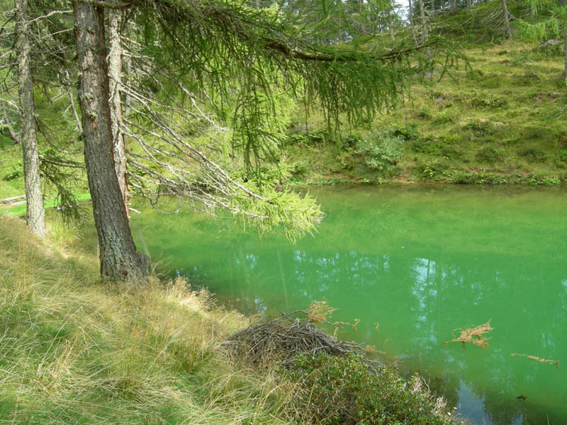 Laghi.......del TRENTINO