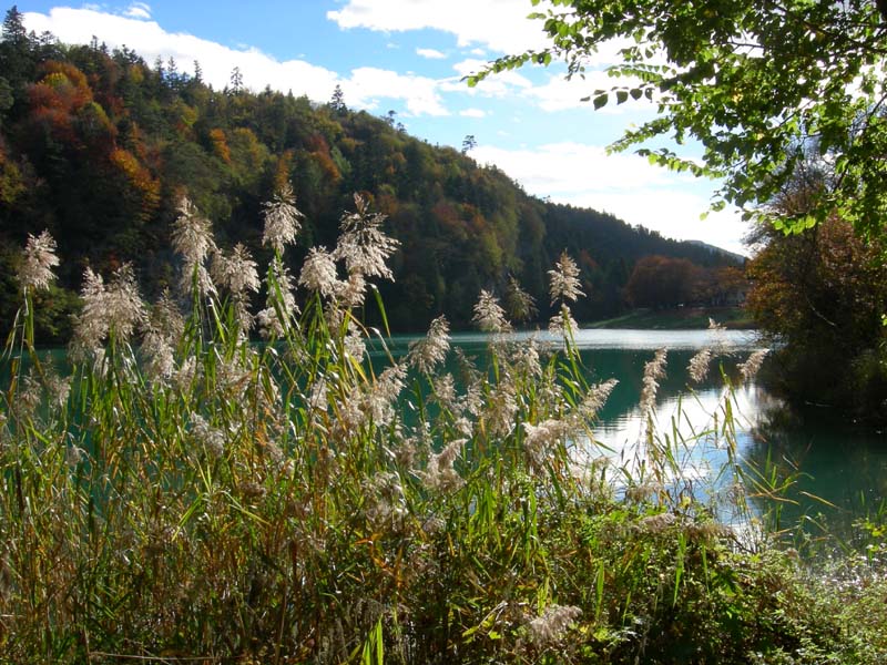 Laghi.......del TRENTINO