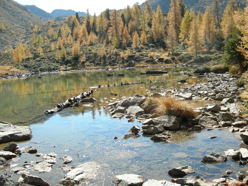 Laghi.......del TRENTINO