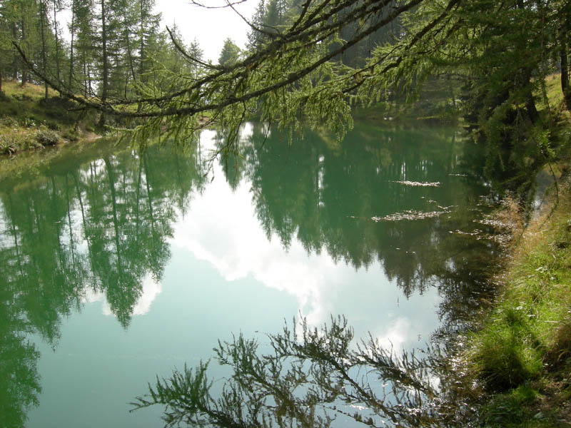 Laghi.......del TRENTINO