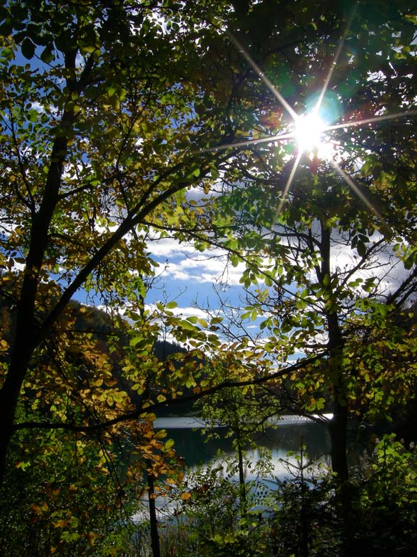 Laghi.......del TRENTINO