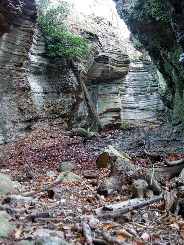 Per funghi...nella valle dell''Orco.