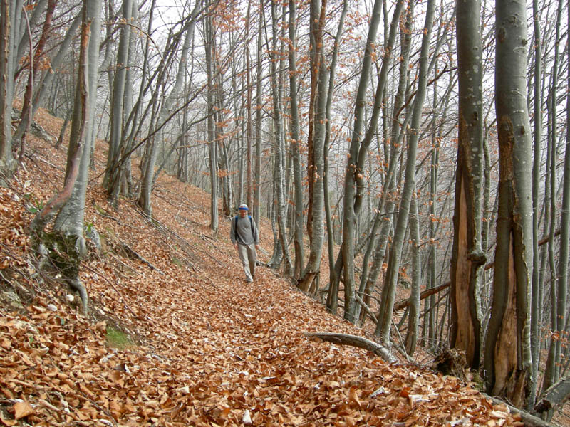 ...il monte  dedicato a Cesare Battisti...