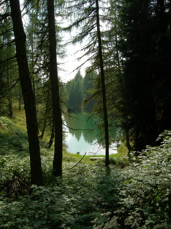 Laghi.......del TRENTINO