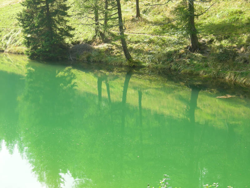 Laghi.......del TRENTINO