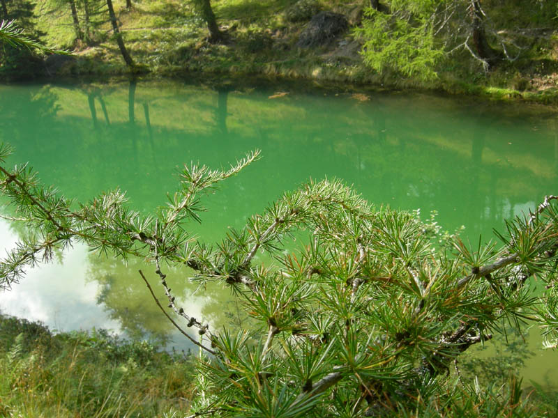 Laghi.......del TRENTINO