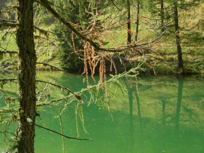 Laghi.......del TRENTINO