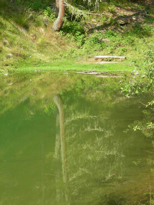 Laghi.......del TRENTINO