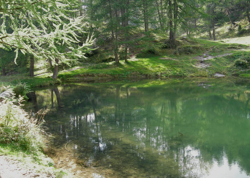 Laghi.......del TRENTINO