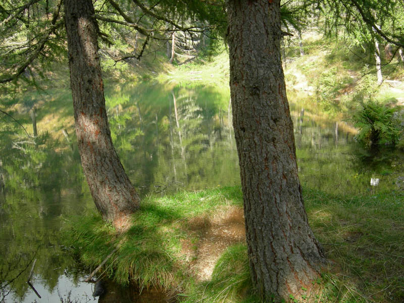 Laghi.......del TRENTINO