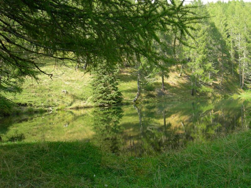 Laghi.......del TRENTINO