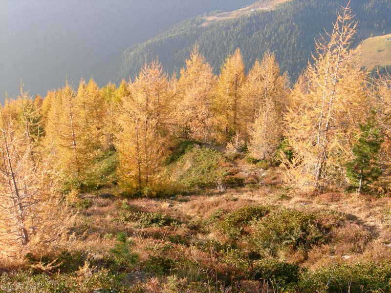 Monte Cengello.....escursione