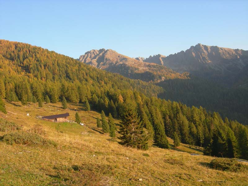 Monte Cengello.....escursione