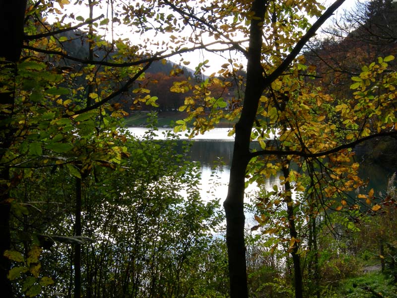 Laghi.......del TRENTINO