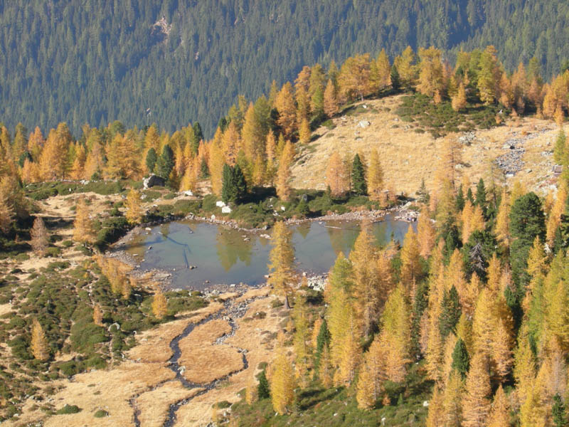 Laghi.......del TRENTINO