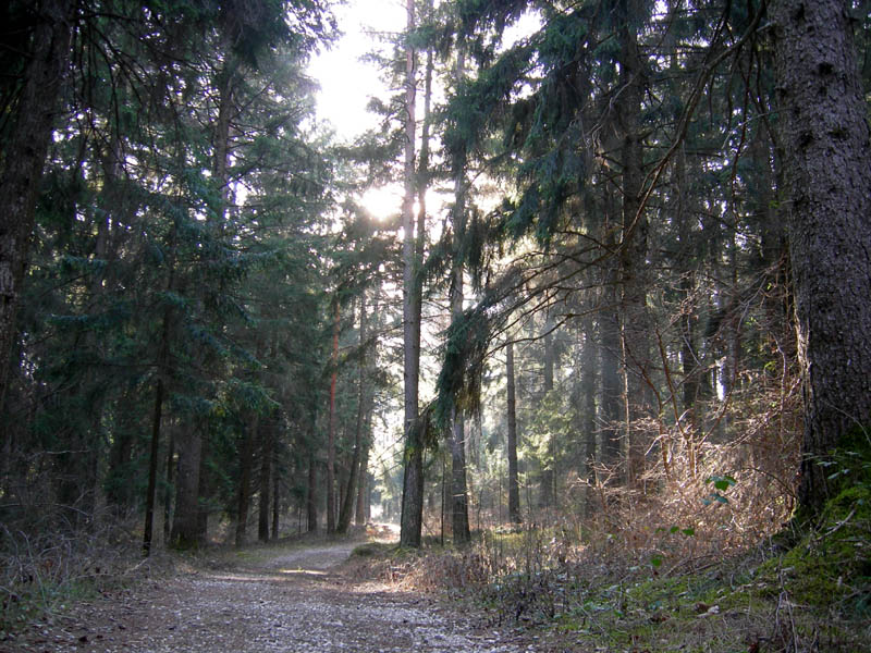 Passeggiata.....6 gennaio 2007