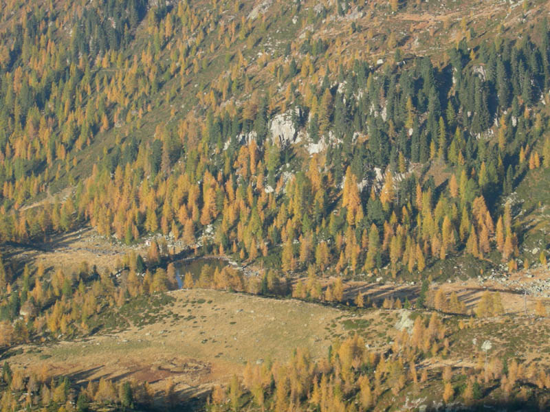 Laghi.......del TRENTINO