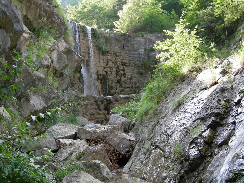 Esuvia: Cordulegaster boltonii....dal Trentino