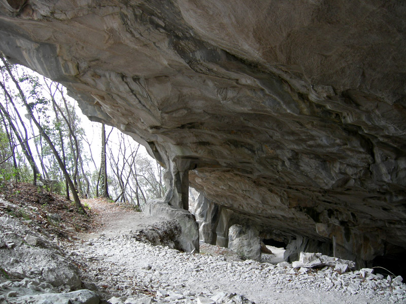 Percorso storico-naturalistico......Bosco Caproni