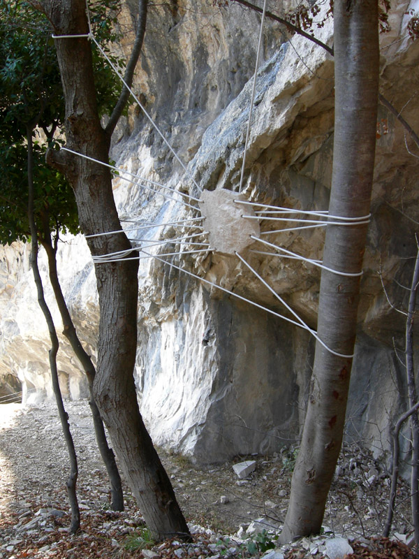 Percorso storico-naturalistico......Bosco Caproni