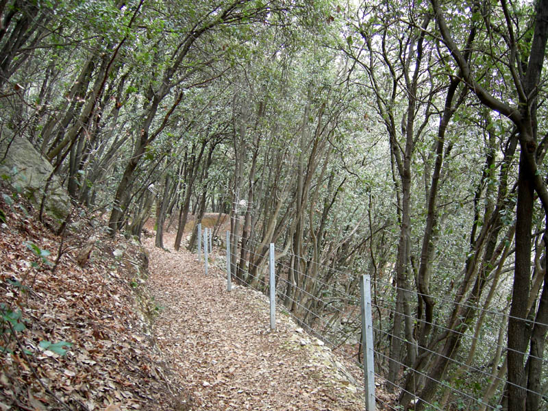 Percorso storico-naturalistico......Bosco Caproni