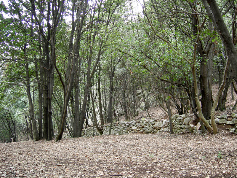 Percorso storico-naturalistico......Bosco Caproni