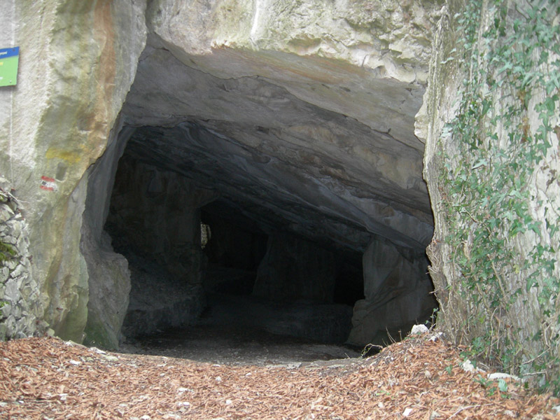 Percorso storico-naturalistico......Bosco Caproni