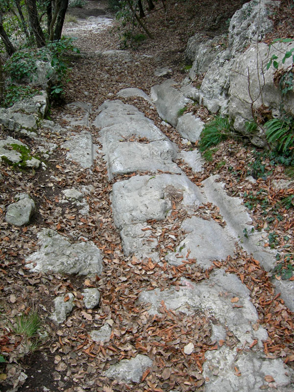 Percorso storico-naturalistico......Bosco Caproni