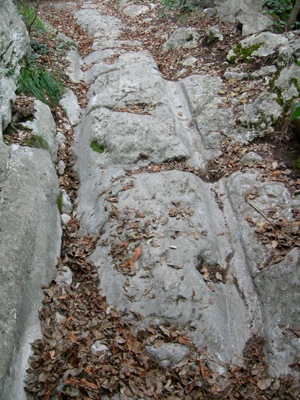 Percorso storico-naturalistico......Bosco Caproni