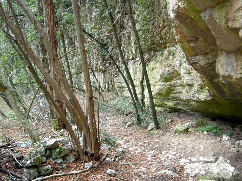 Percorso storico-naturalistico......Bosco Caproni