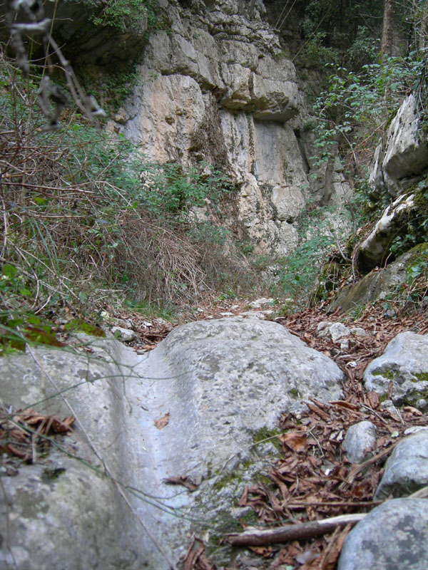 Percorso storico-naturalistico......Bosco Caproni