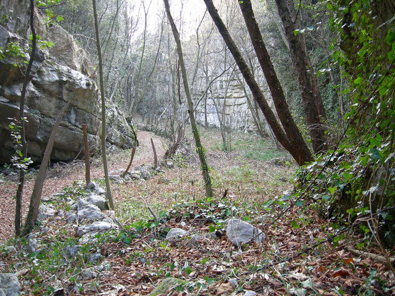 Percorso storico-naturalistico......Bosco Caproni