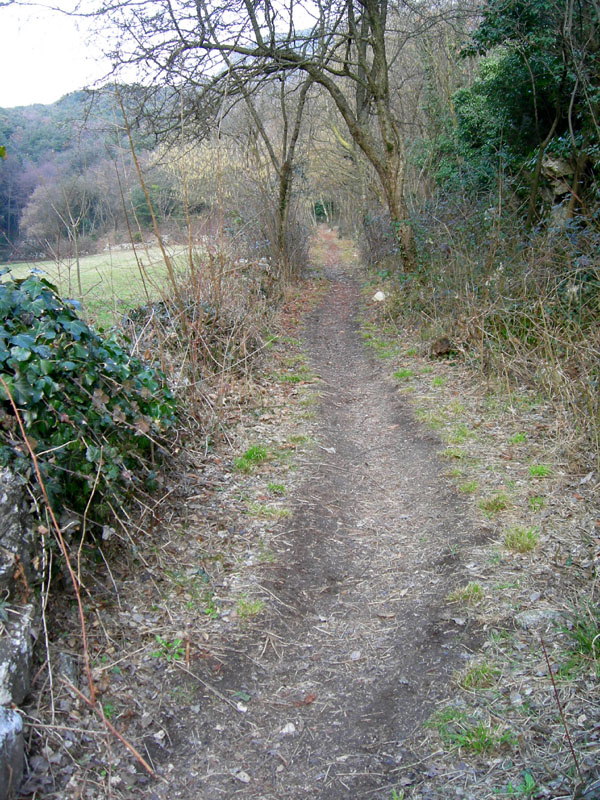 Percorso storico-naturalistico......Bosco Caproni