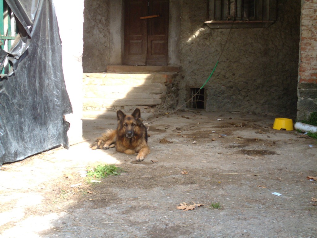 La Garfagnana