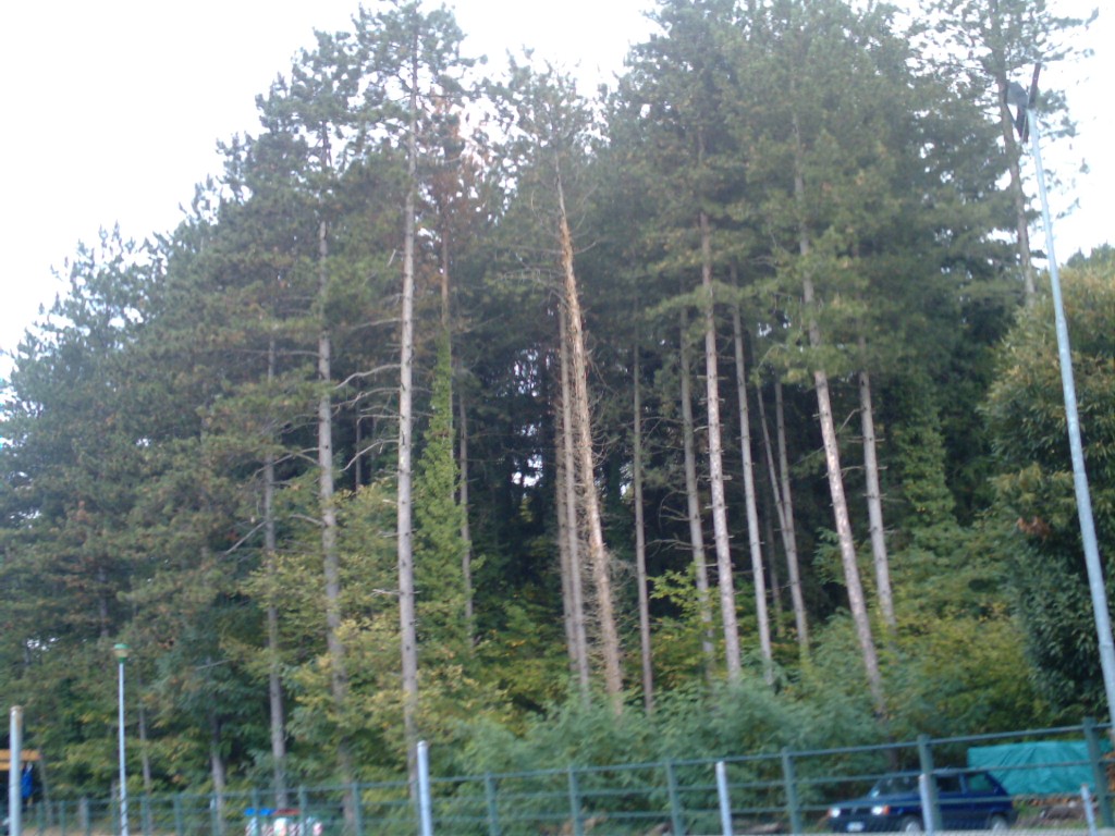 La Garfagnana