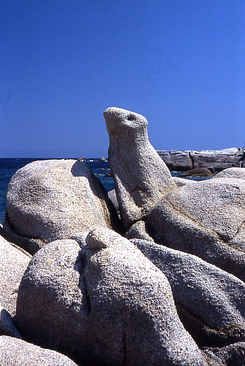 Sculture naturali