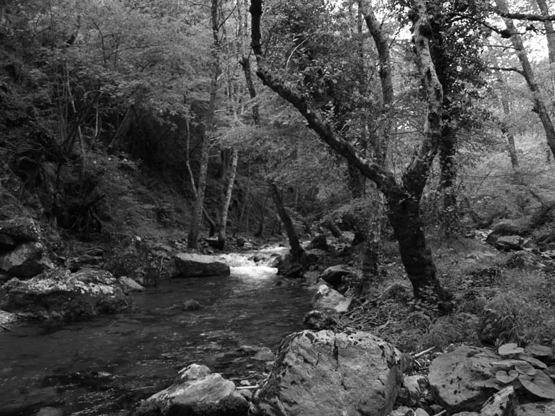 torrente Peschiera