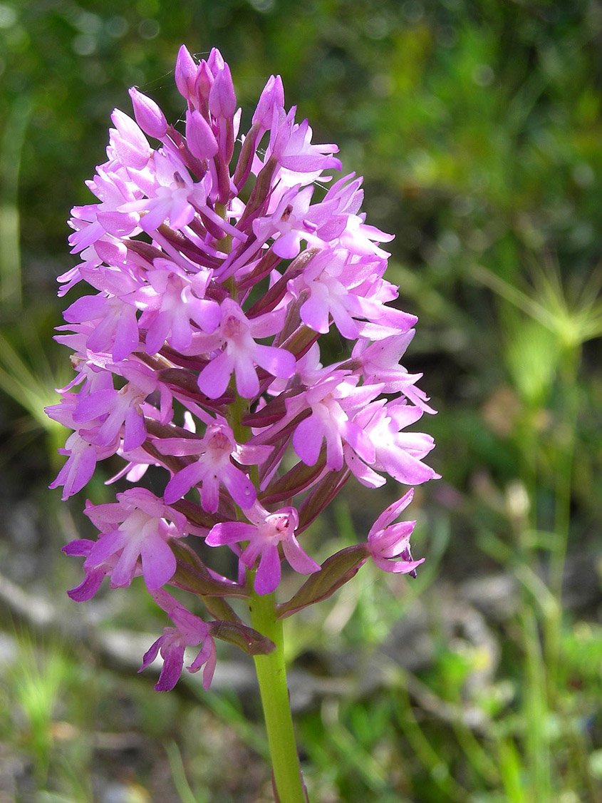 omaggio alla murgia materana