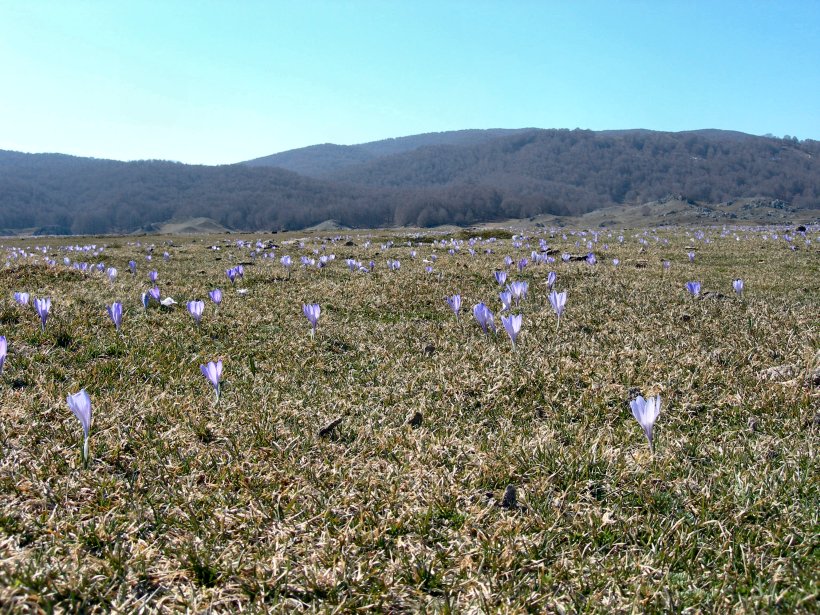 La piana di Camposecco