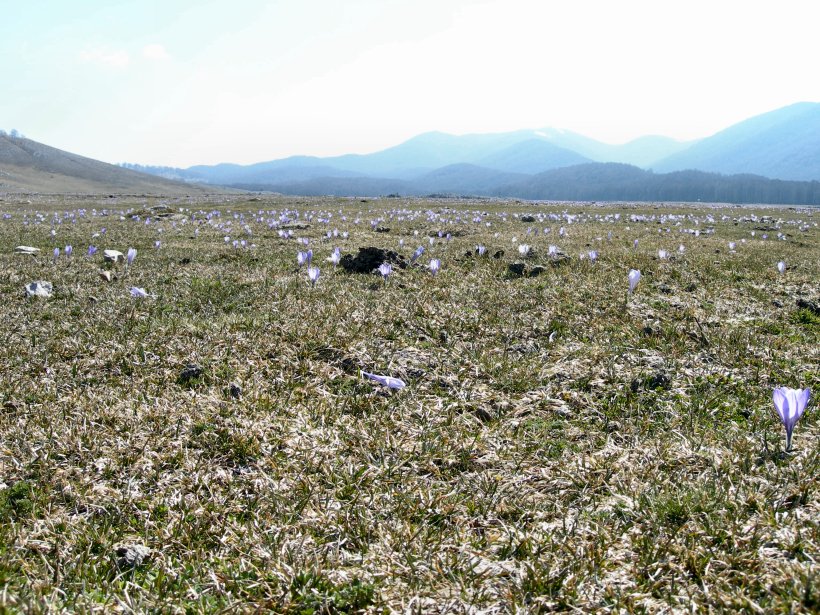 La piana di Camposecco