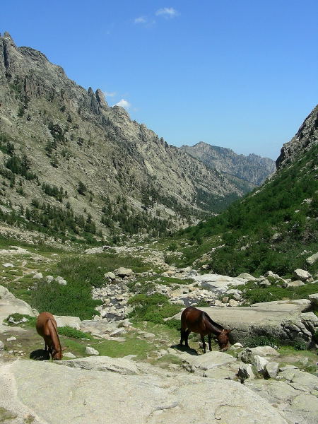 La mia Corsica