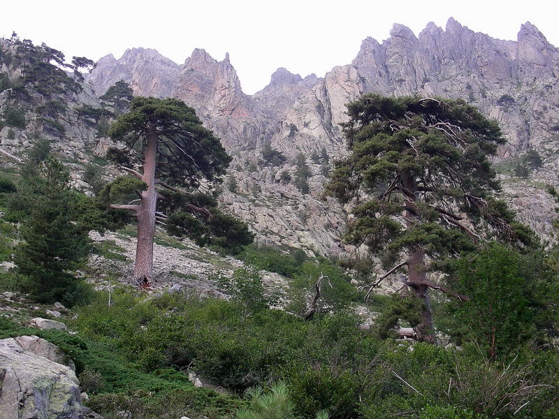 La mia Corsica