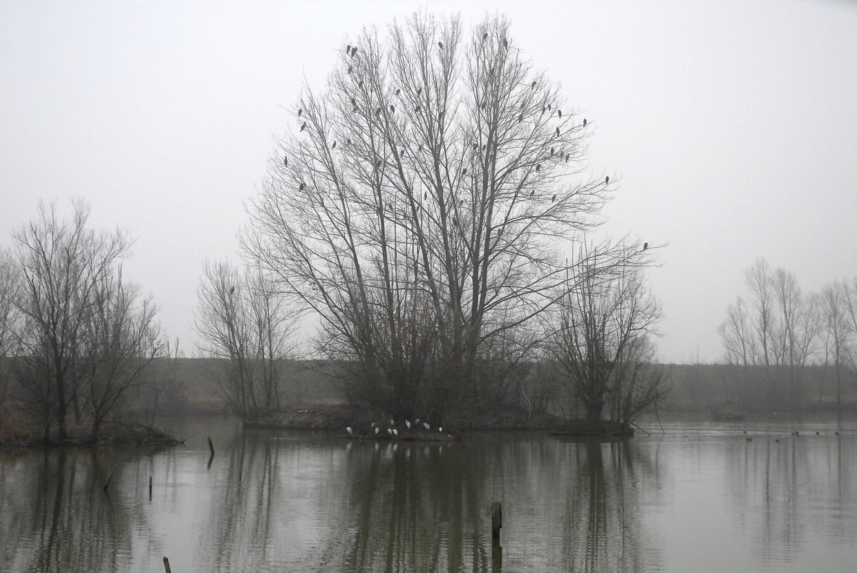 Giovedi scorso al Torrile....