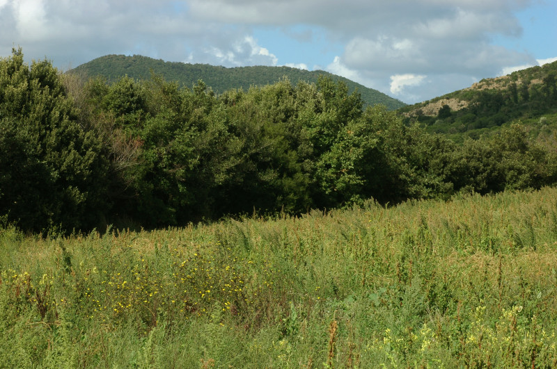 Le montagne di Sasso